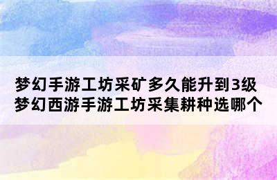 梦幻手游工坊采矿多久能升到3级 梦幻西游手游工坊采集耕种选哪个